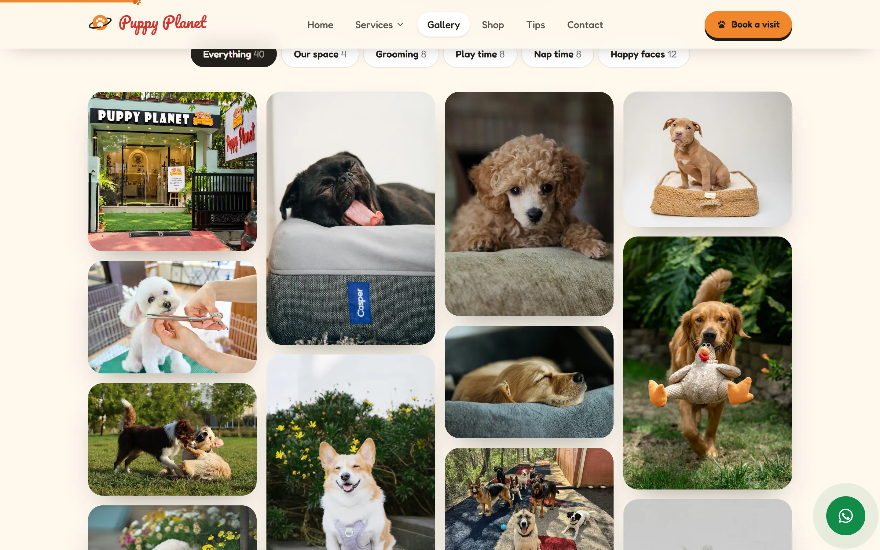 Puppy Planet gallery with filters and a grid of photos